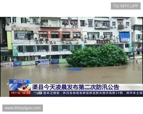 达州新闻综合频道高清直播实时在线观看